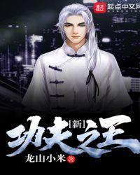 新功夫巨星